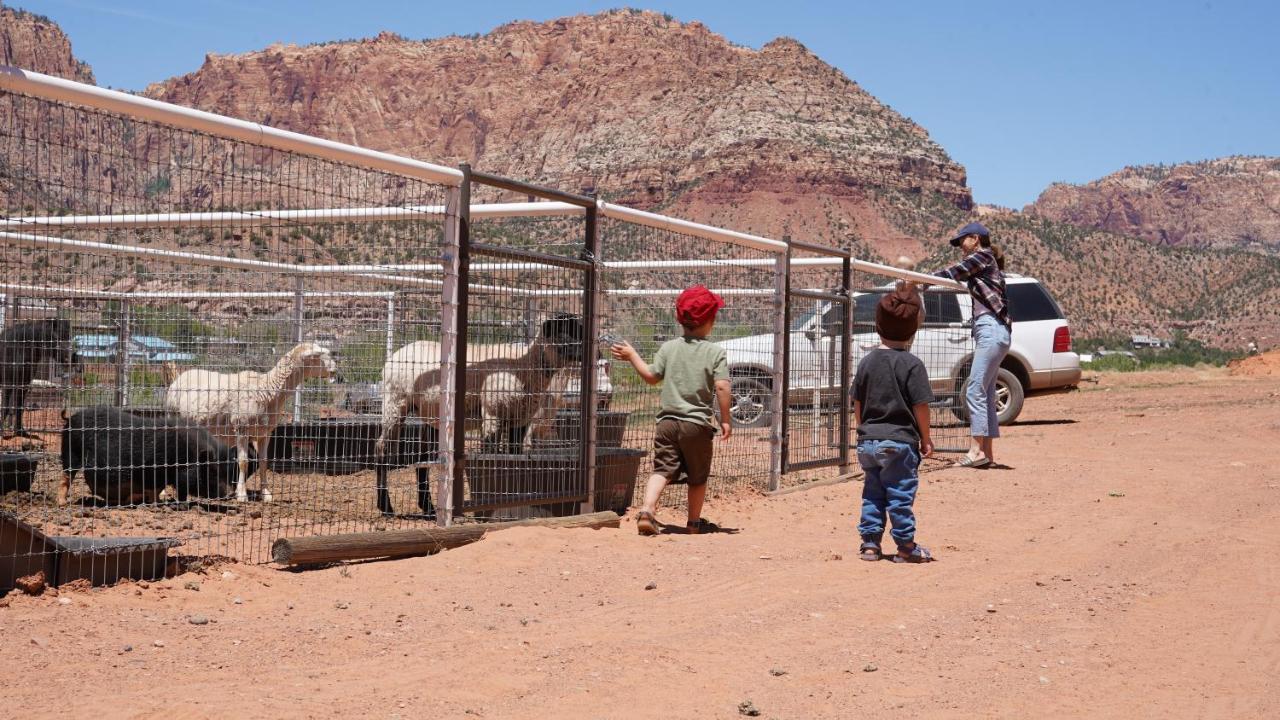 Zion View Camping Hildale Экстерьер фото